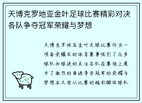 天博克罗地亚金叶足球比赛精彩对决各队争夺冠军荣耀与梦想